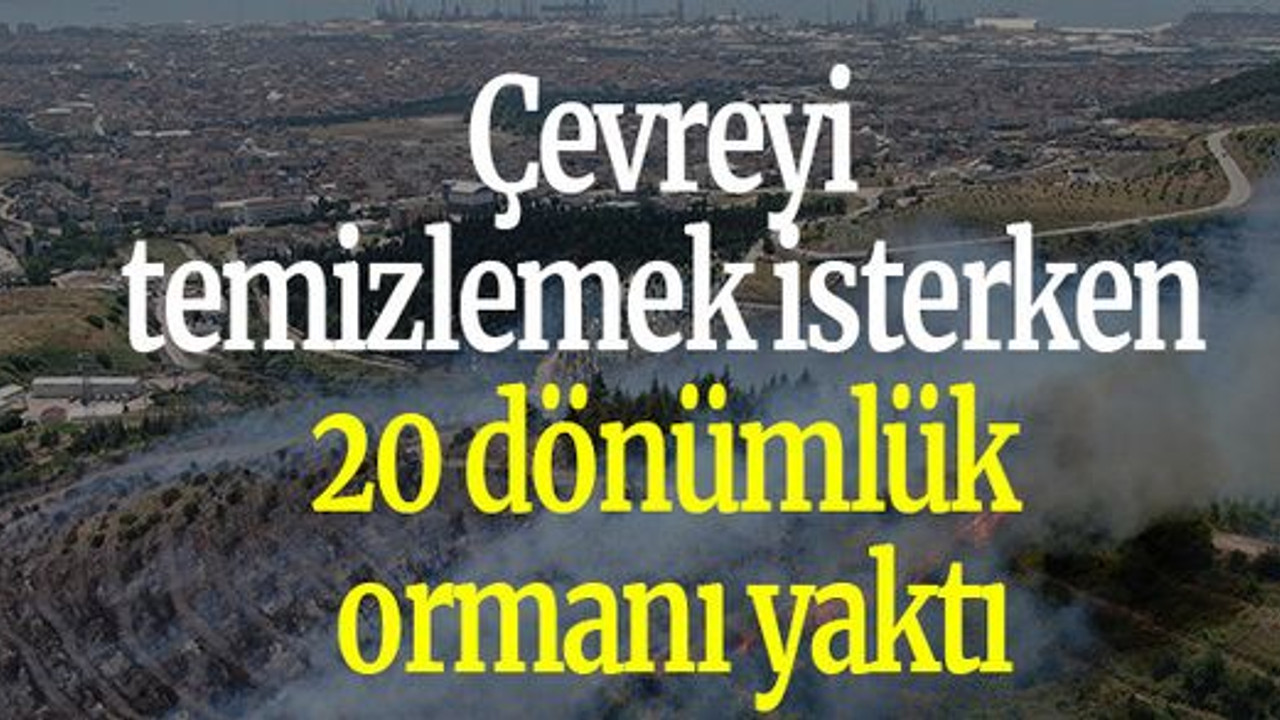 Çevreyi temizlemek isterken 20 dönümlük ormanı yaktı